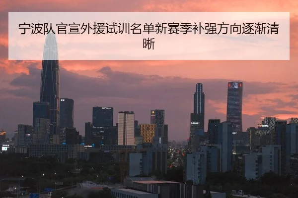 宁波队官宣外援试训名单新赛季补强方向逐渐清晰