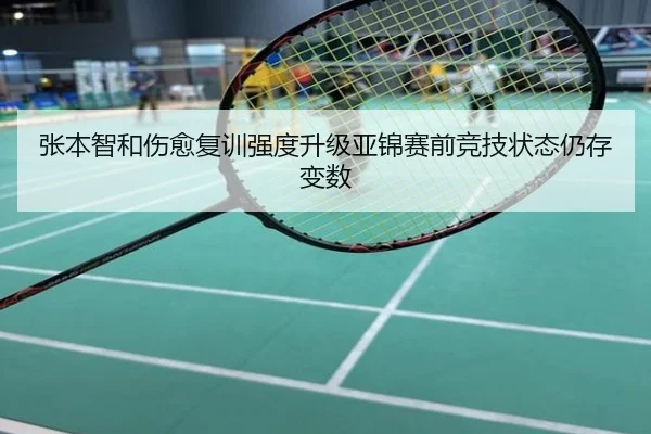 张本智和伤愈复训强度升级亚锦赛前竞技状态仍存变数